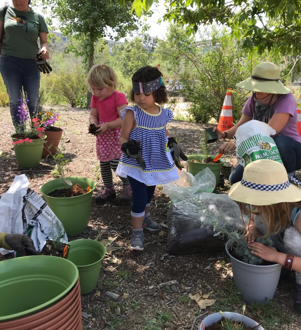 Community Habitat Restoration 3