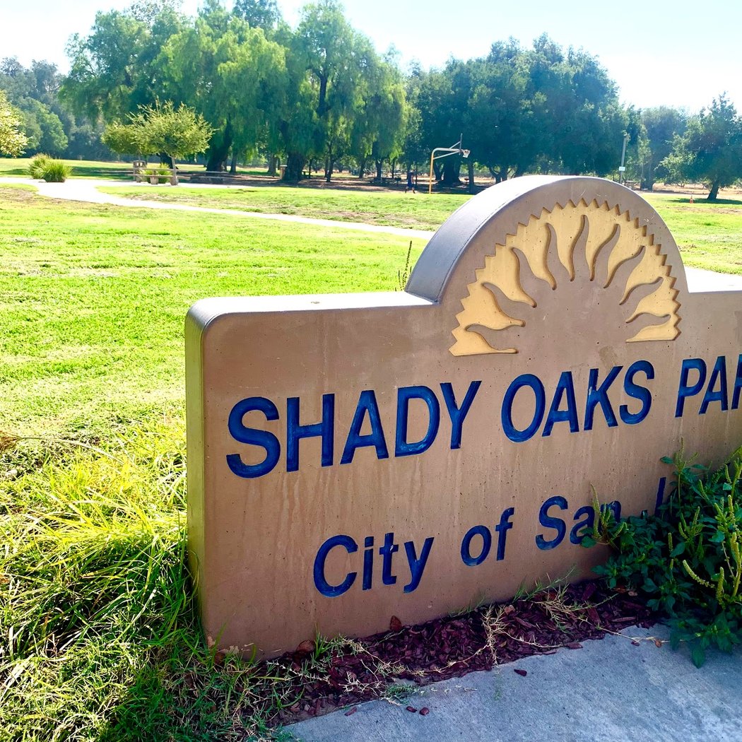 Shady Oaks Park 3