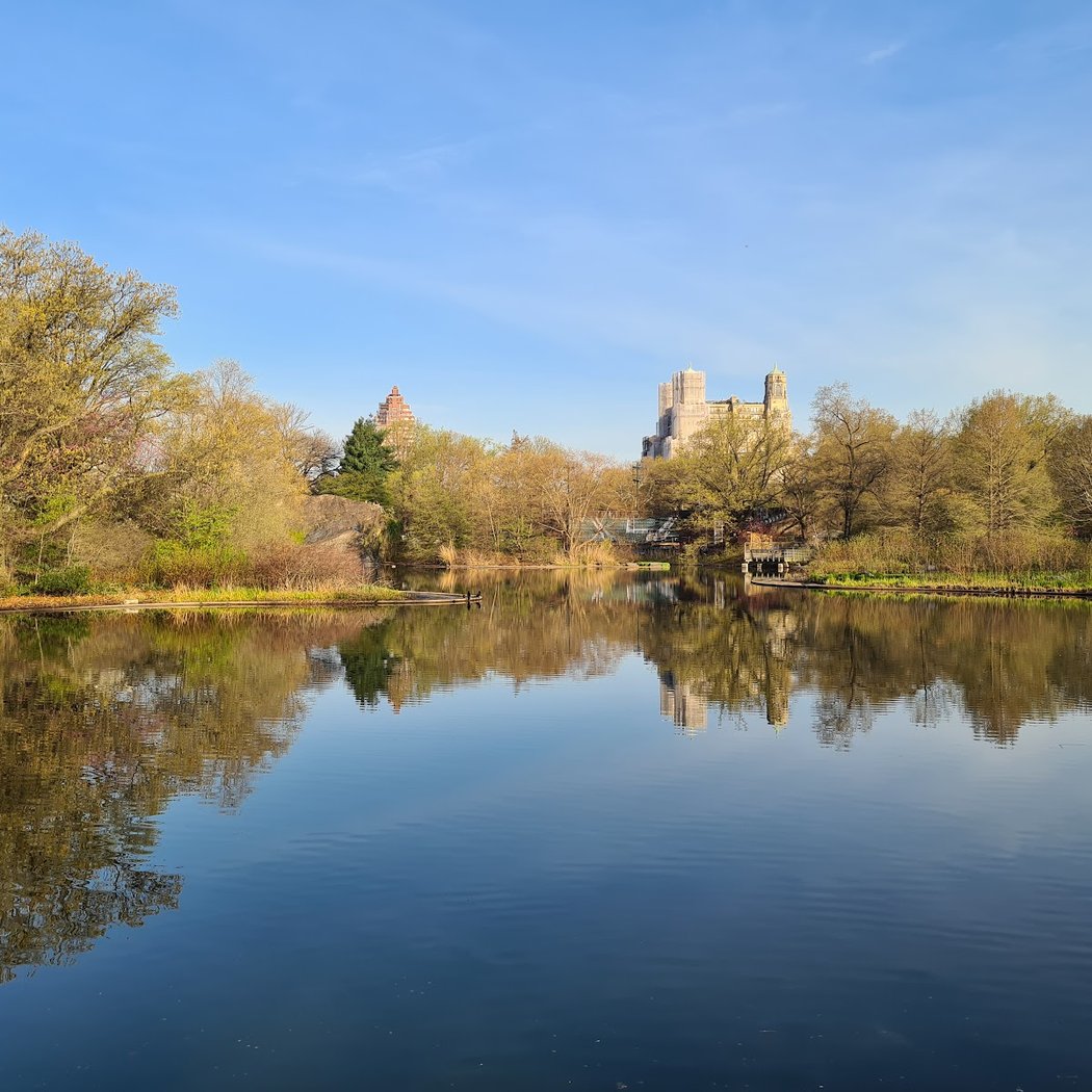 The Central Park Turtle Pond 1