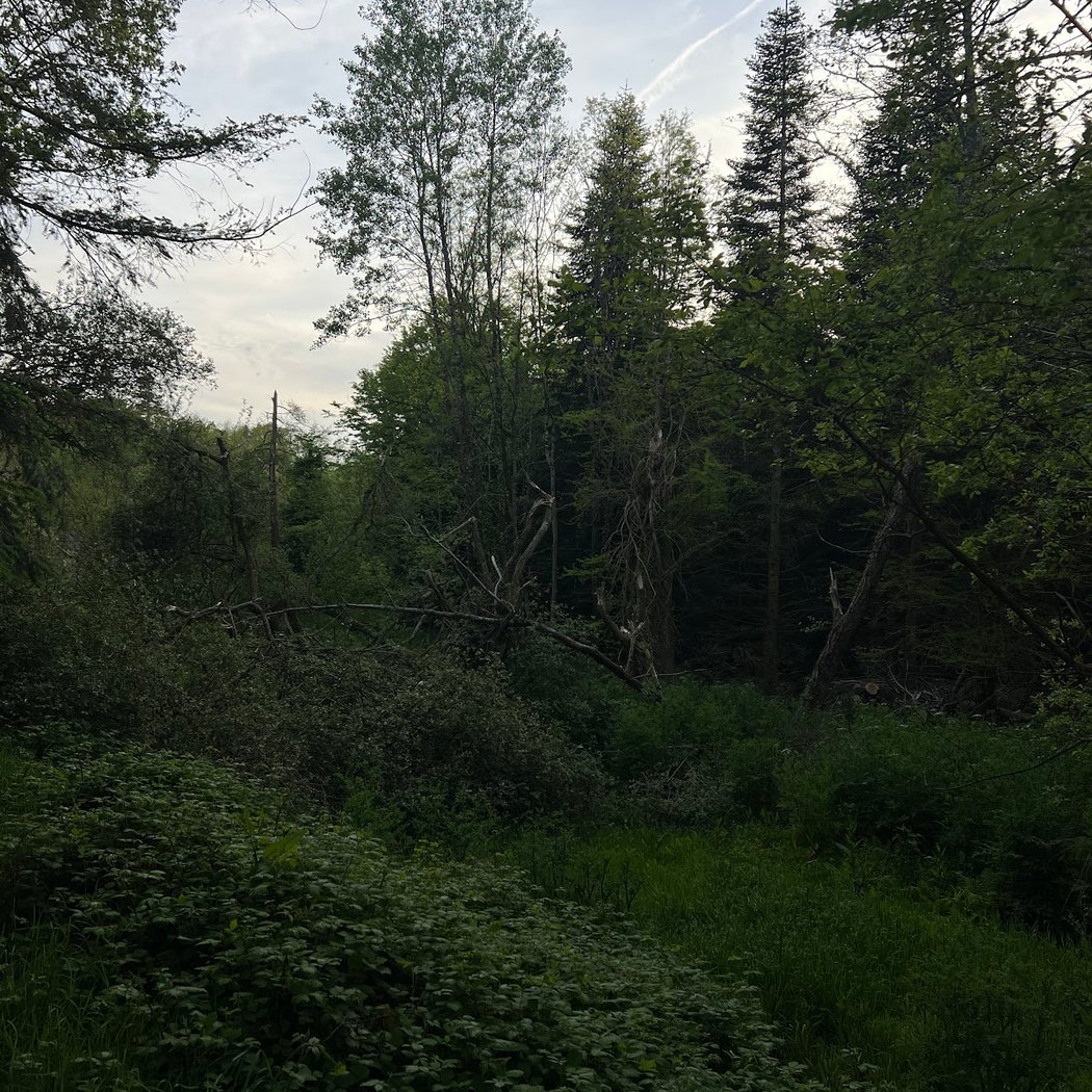 Montagne de Reims Natural Regional Park 2