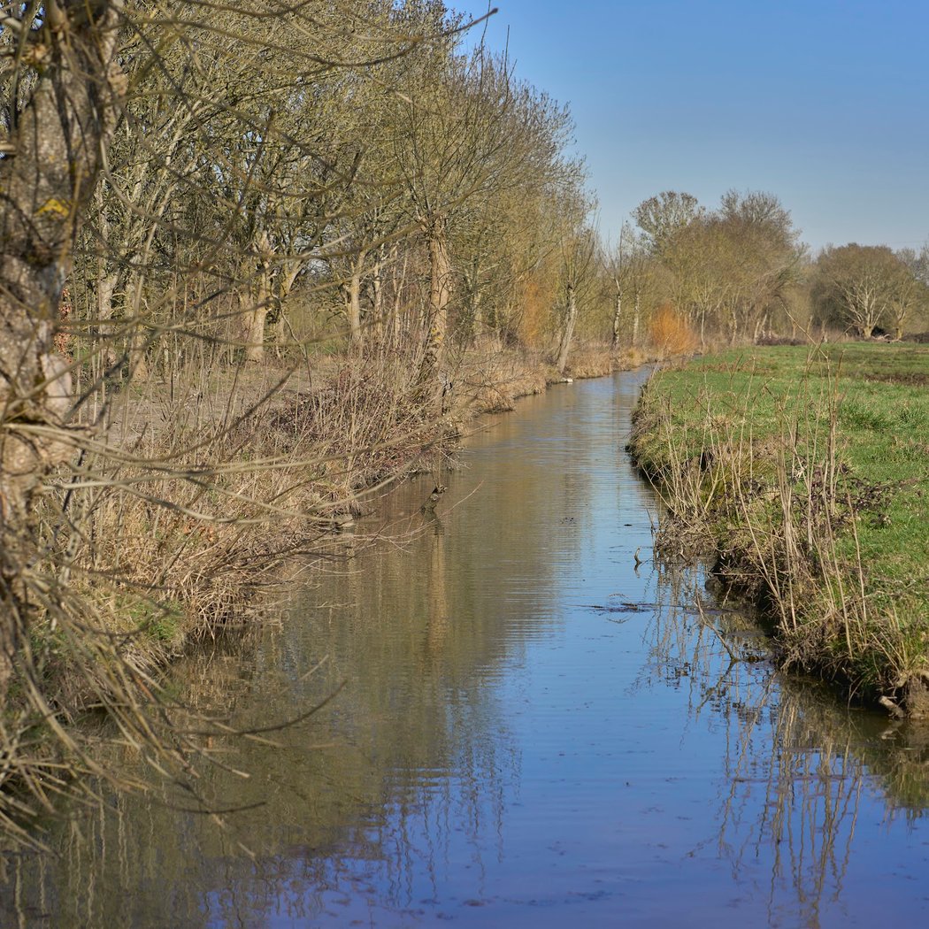 Marais Audubon 2