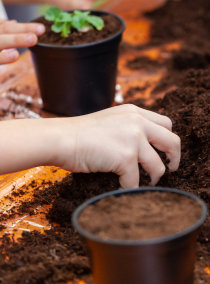 Nouvelle Pousse : bricolage & jardinage pour les jeunes curieux 1