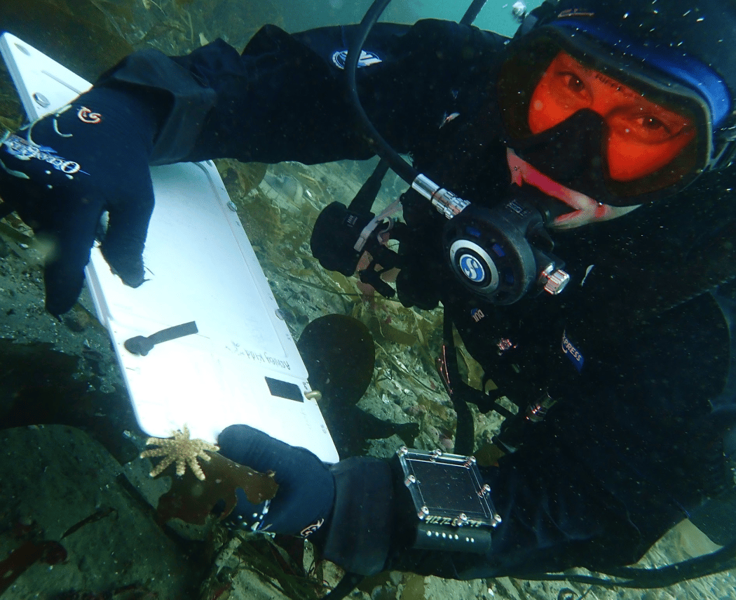 Seeing Stars: Conservation Aquaculture, Cryopreservation & Communities of Practice 1