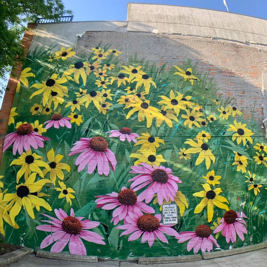 Ouizi Mural (A2AC Murals) 4
