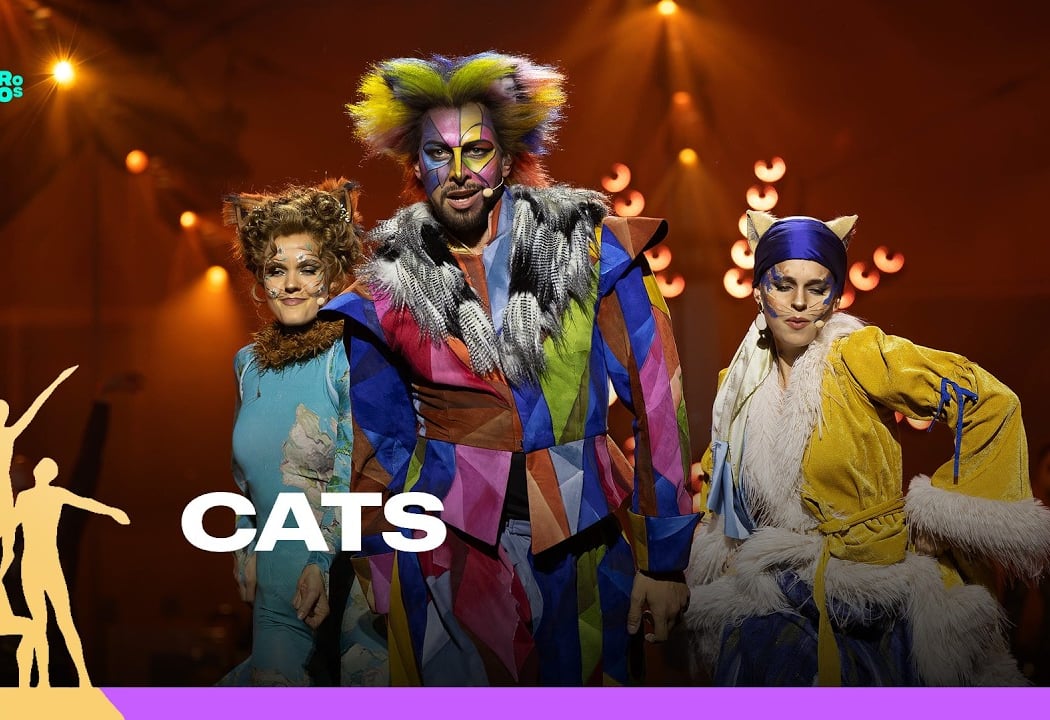CATS