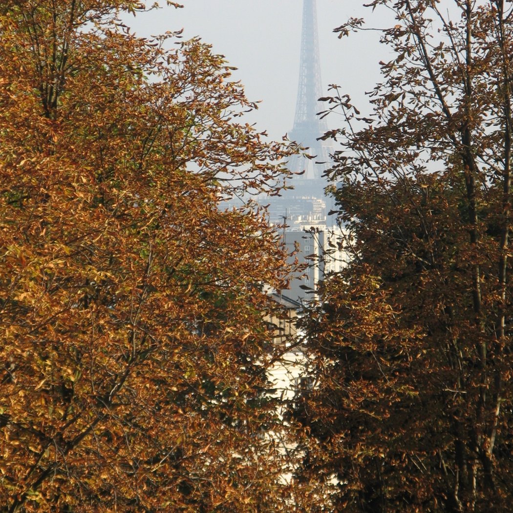 Point de vue Tour Eiffel & Montmartre 4