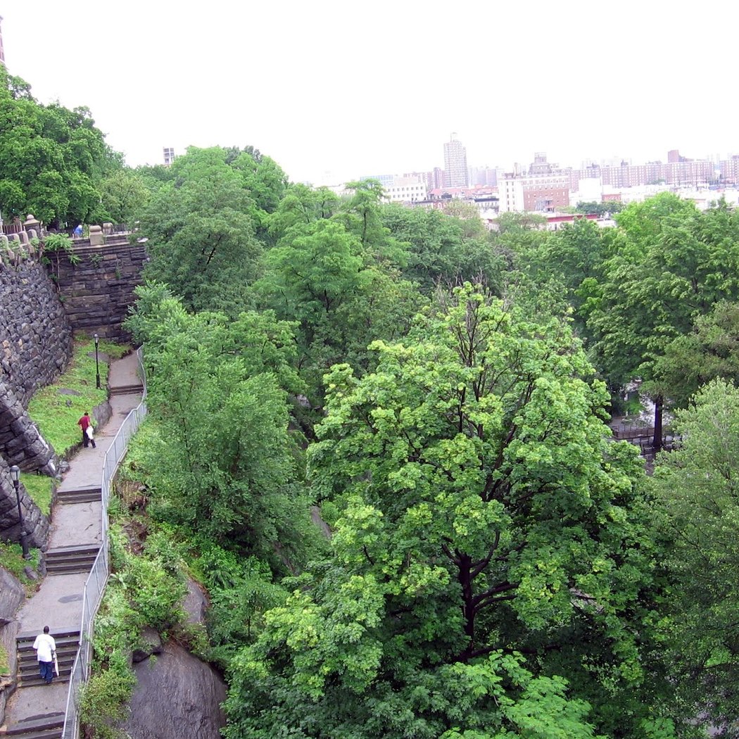 Friends of Morningside Park 3