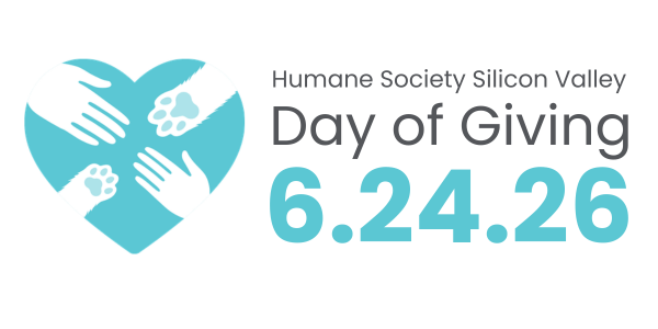 HSSV Day of Giving 2