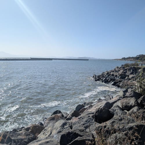 Berkeley Waterfront 3