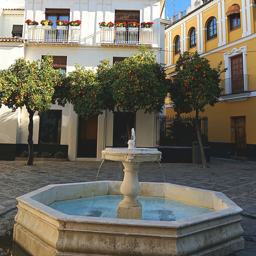 Fuente de la plaza de la Alianza 1