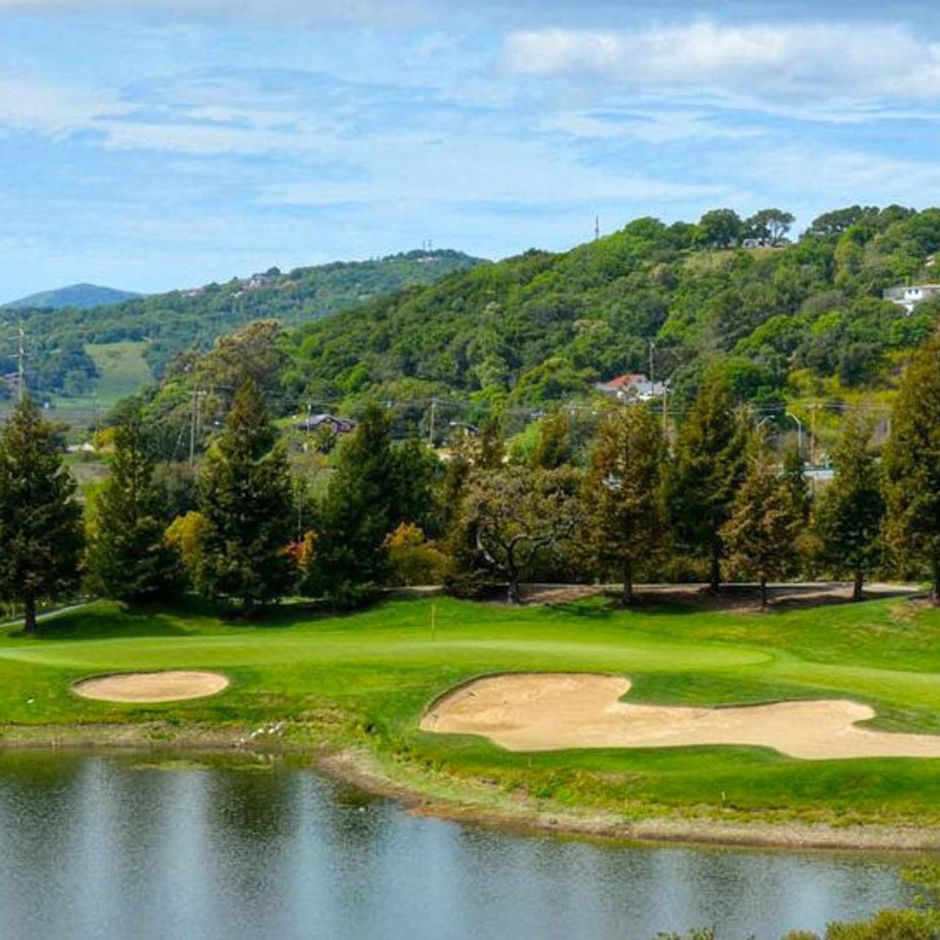 StoneTree Golf Club 2