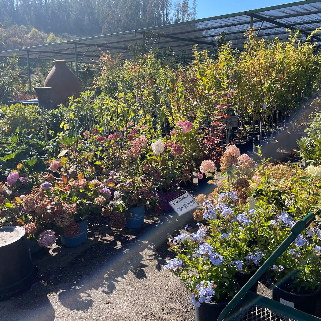 Bongard's Treescape Nursery 2