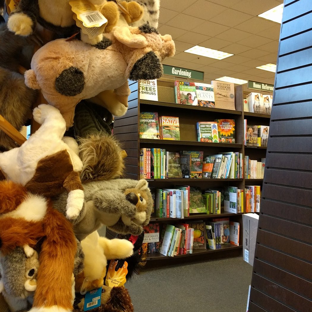 Children's Storytime 3