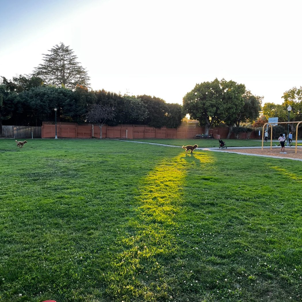 West Hillsdale Park 1