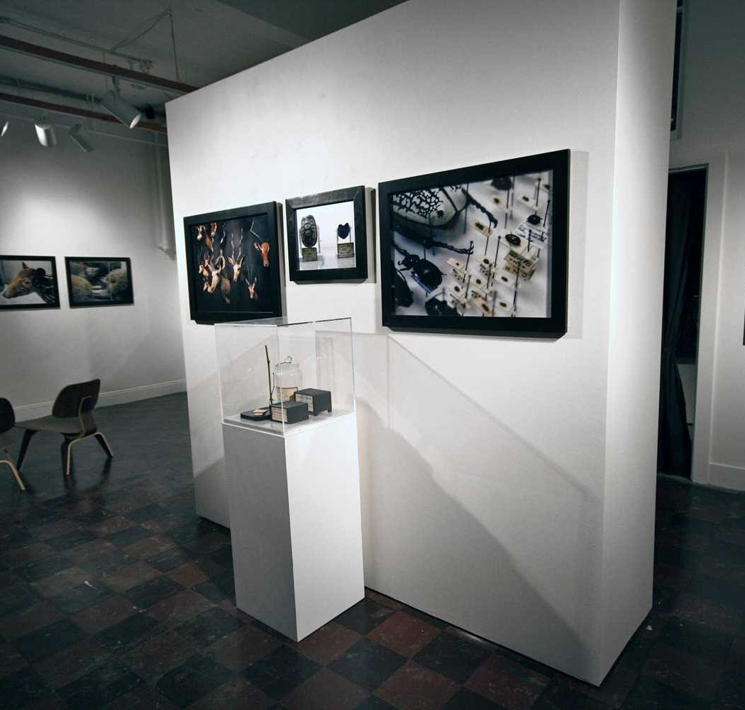 The Compound Gallery 3