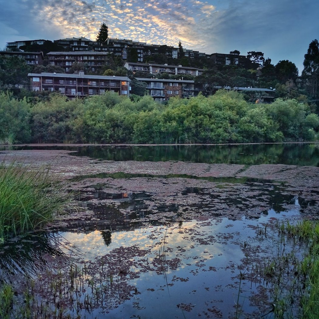 Tiburon Lagoon 3