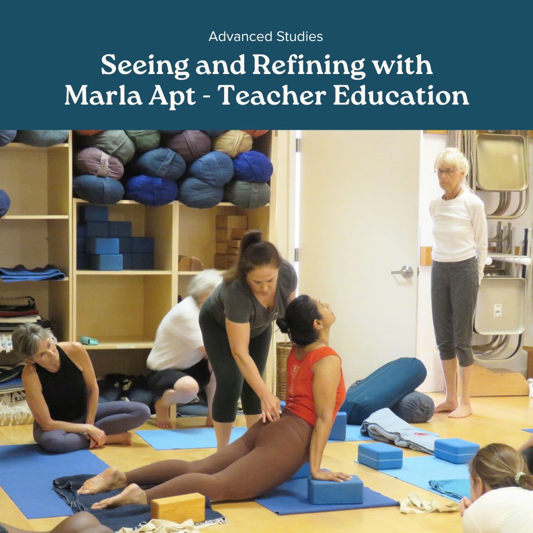 Progression in Iyengar Yoga - Session 1: Establishing the Foundation 2