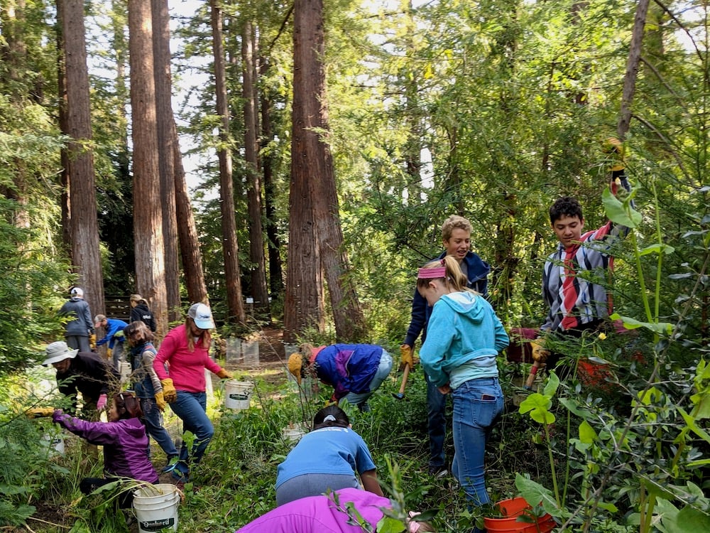 Grassroots Ecology 3