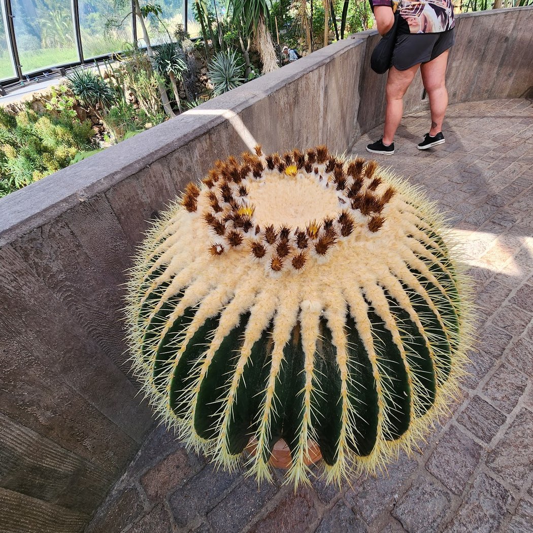 Botanical Garden 4
