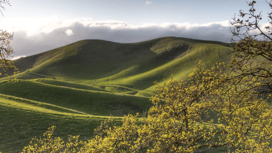Sycamore Valley Regional Open Space Preserve 1