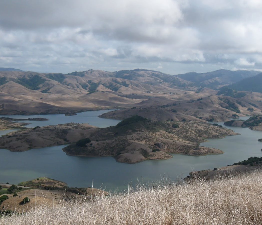 Nicasio 3