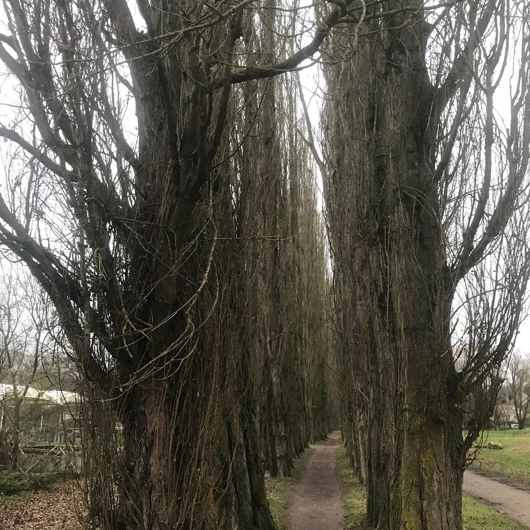 Chemin des Peintres d'Auvers-sur-Oise 3