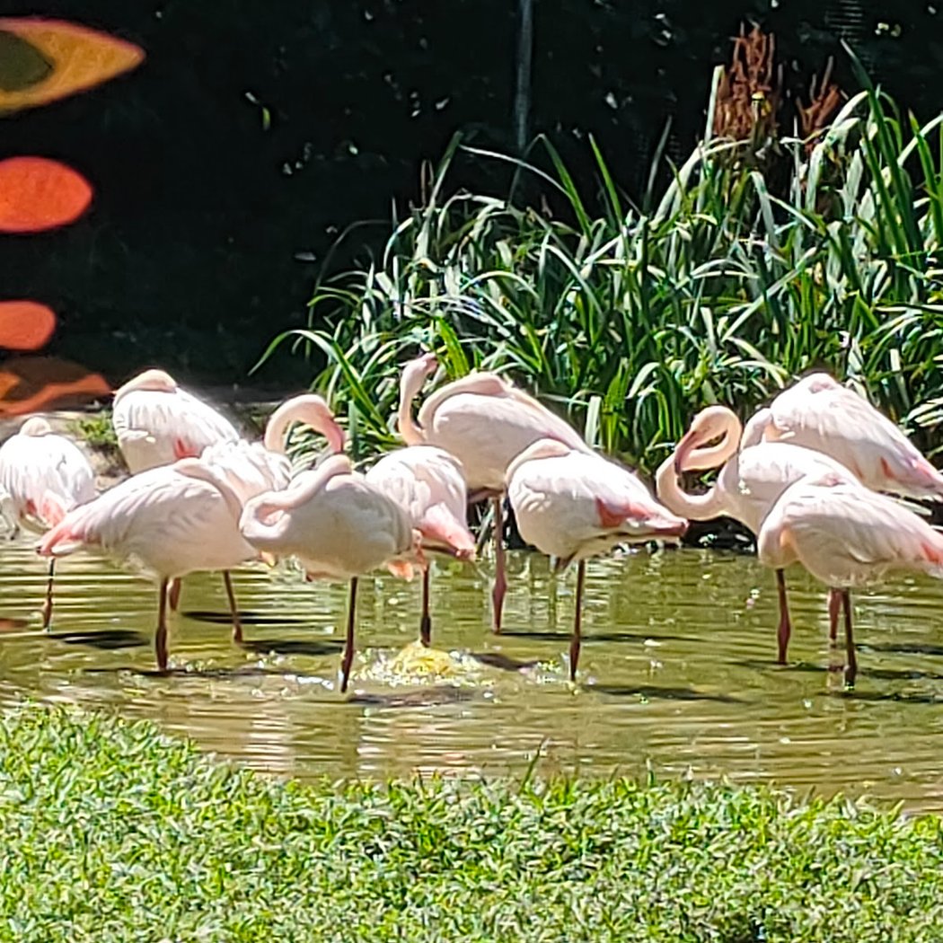 Zooparc de Trégomeur 3