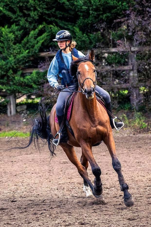 Equestrian Center Arbonne Riding 1