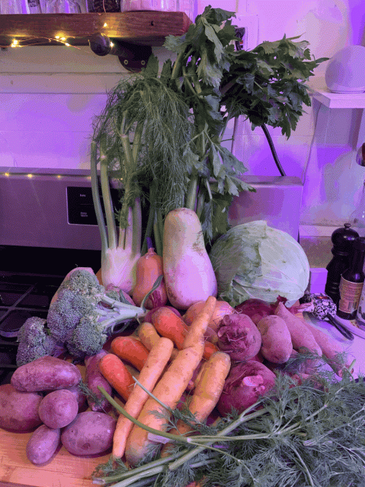 Ridgewood Farmshare 1