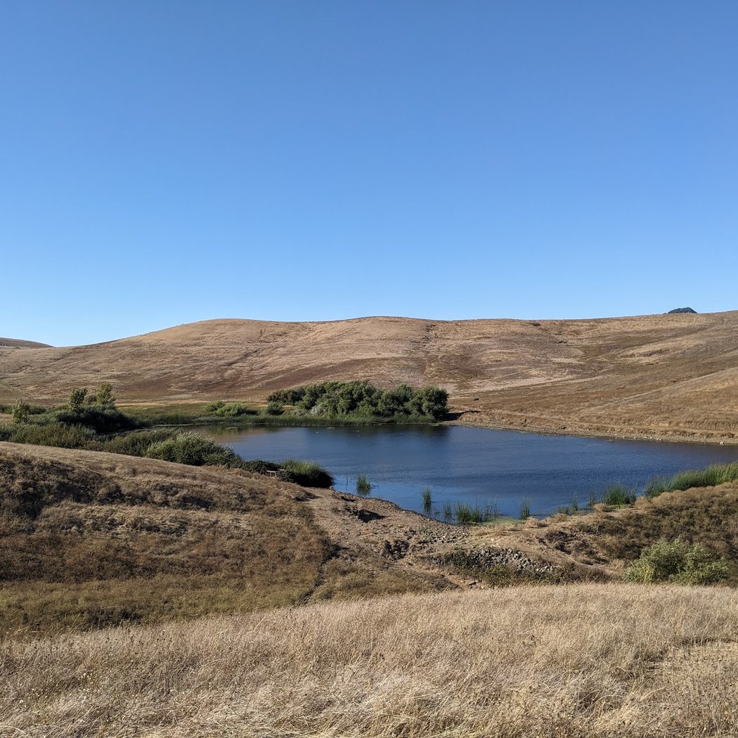 Nature Hike at Lynch Canyon 3