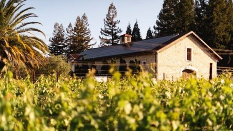 James Cole Winery 2
