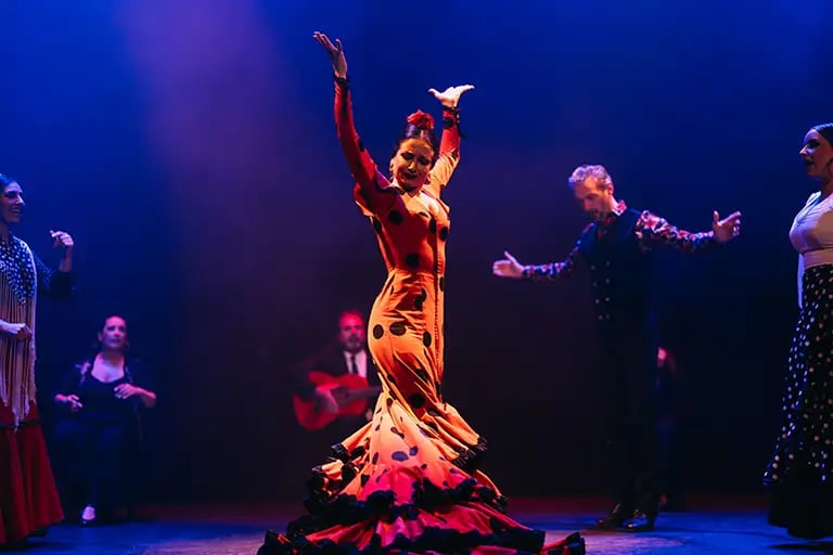 Espectáculo flamenco en directo 1