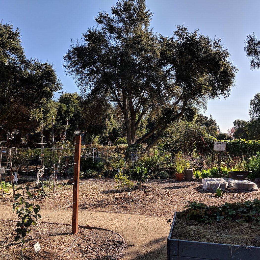 Eleanor Pardee Community Garden 1