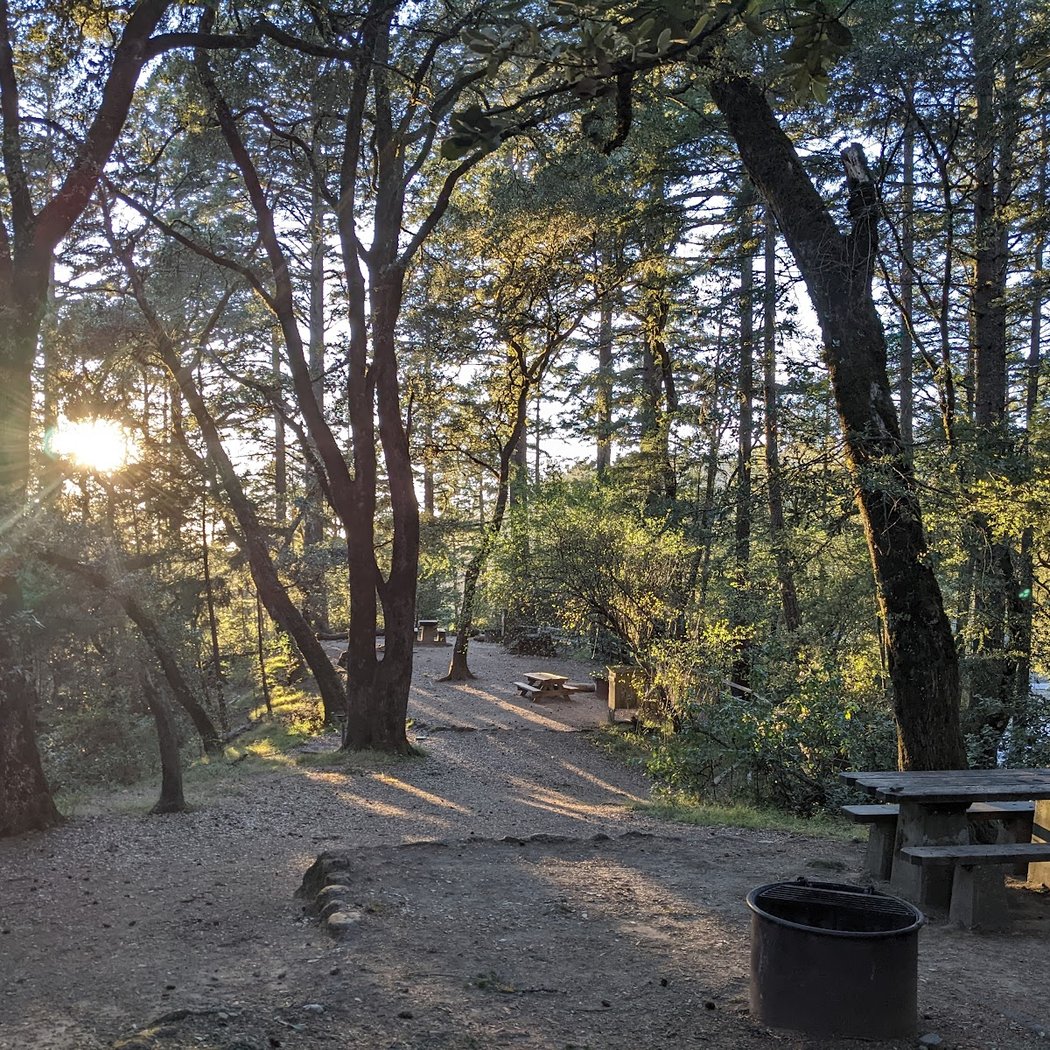 Pantoll Campground 3