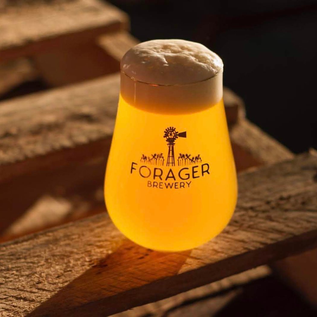 Forager Brewery 3