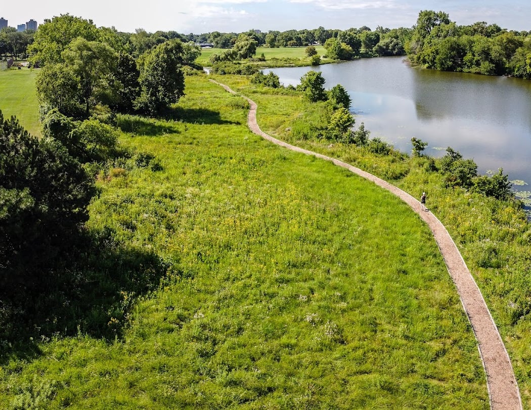 Jackson Park Bobolink Meadow 1