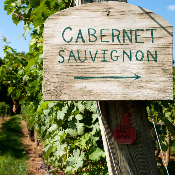 Cabernet Sauvignons of the World - A Blind Tasting Class 2