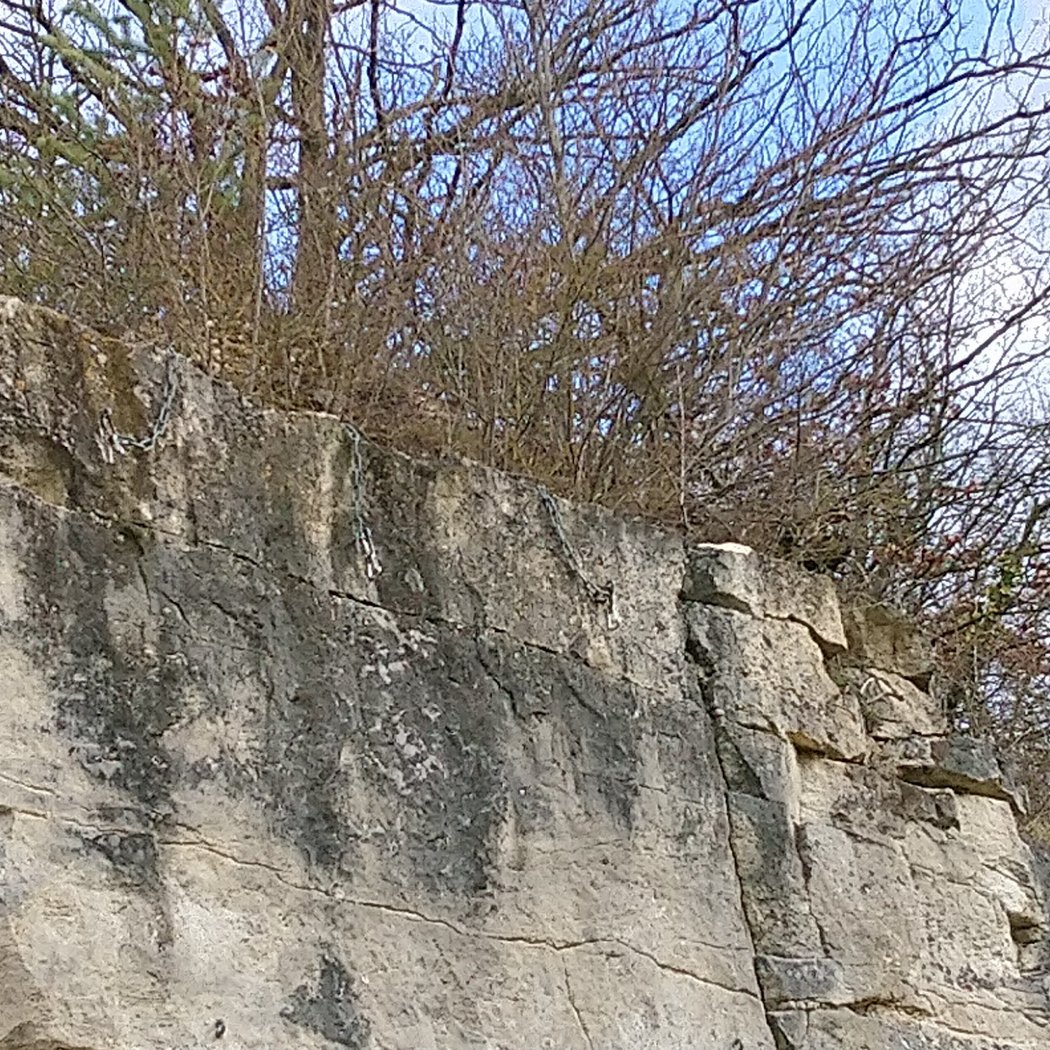 Saint-Maximin 1
