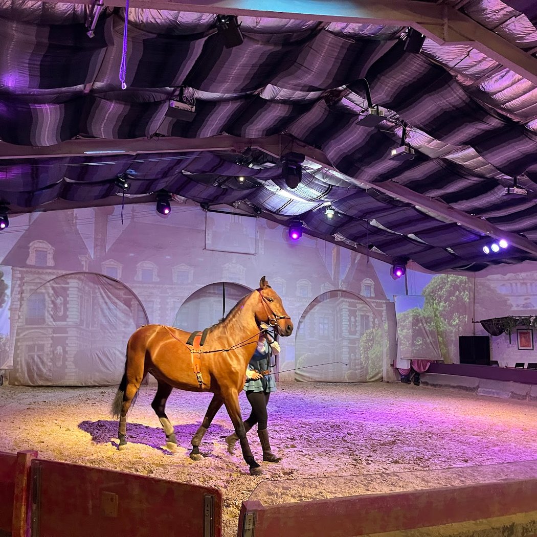Cabaret Equestre de Camargue 3