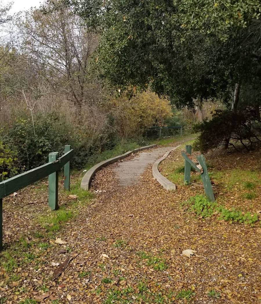 Arroyo Viejo Creek 1