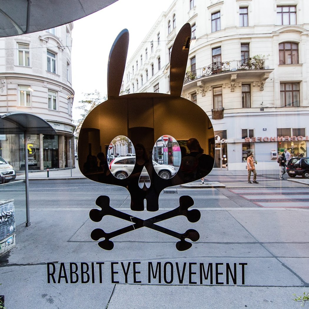 Rabbit eye movement 2