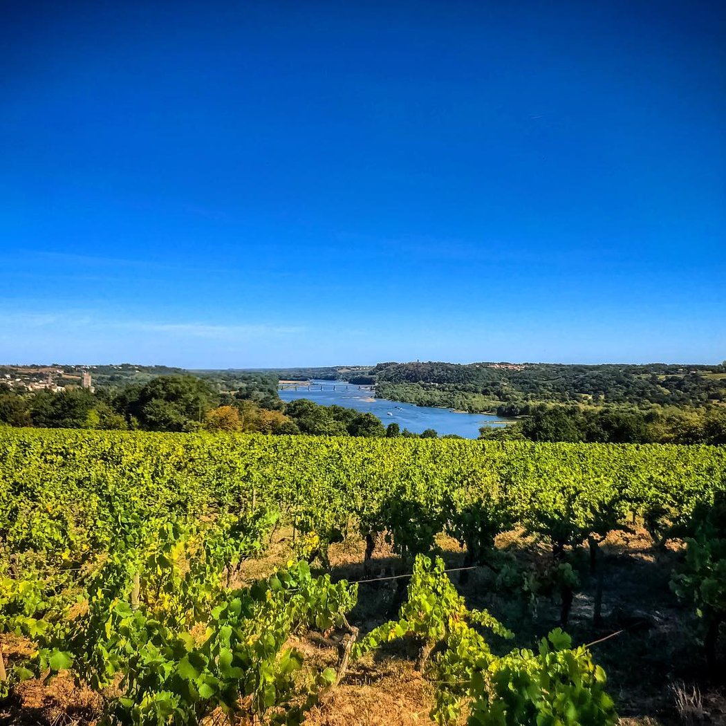 Domaine Landron Chartier 2