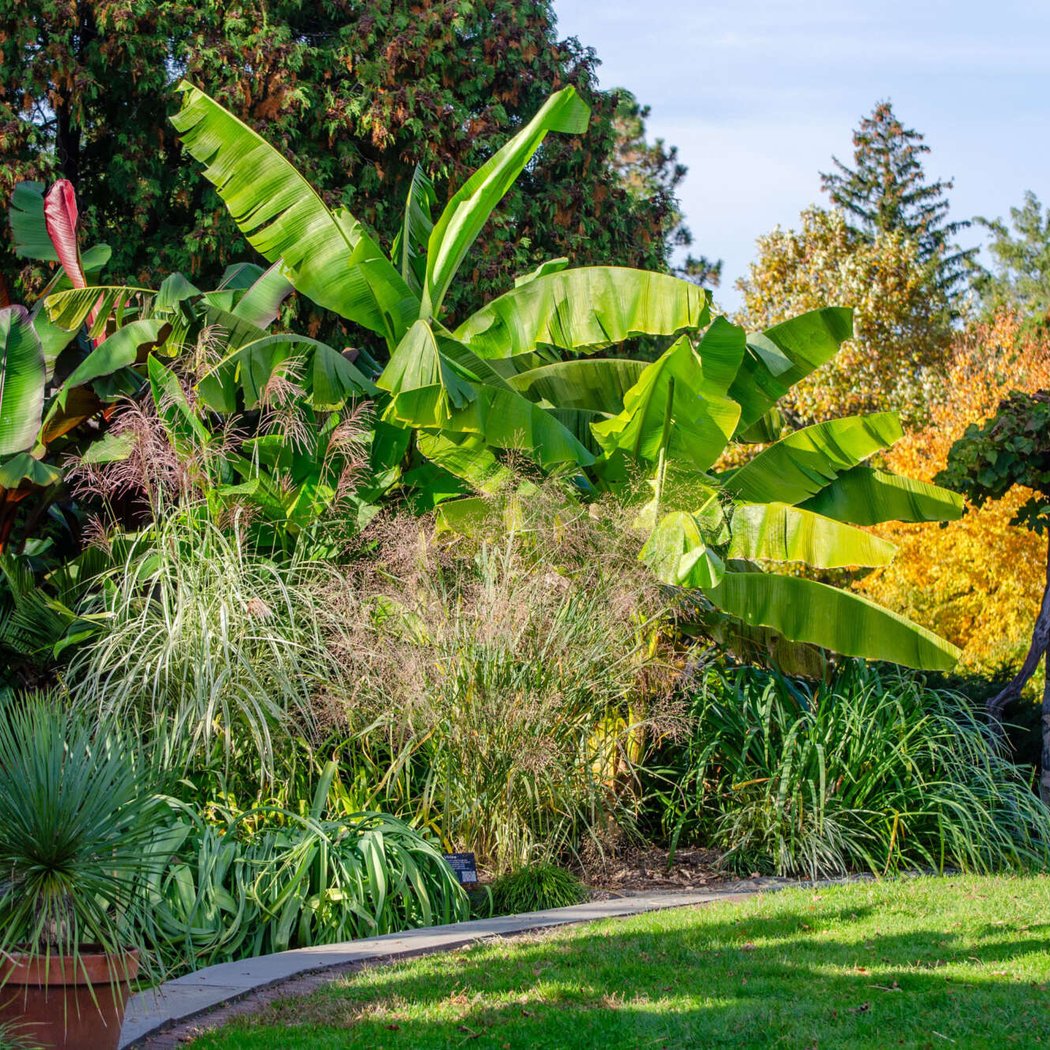 Garden Highlights Walk 2
