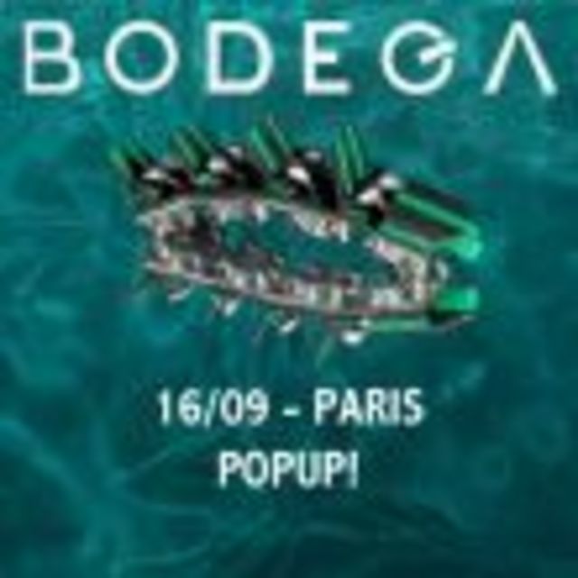 BODEGA 2