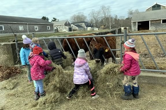 Barnyard Buddies 3