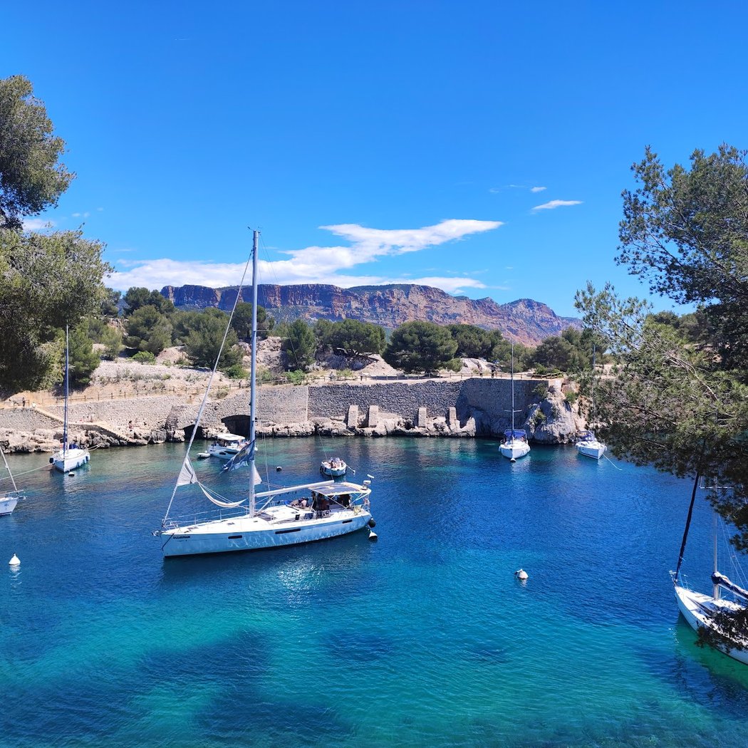 Sortie nature : flore des calanques de Cassis - MHNM