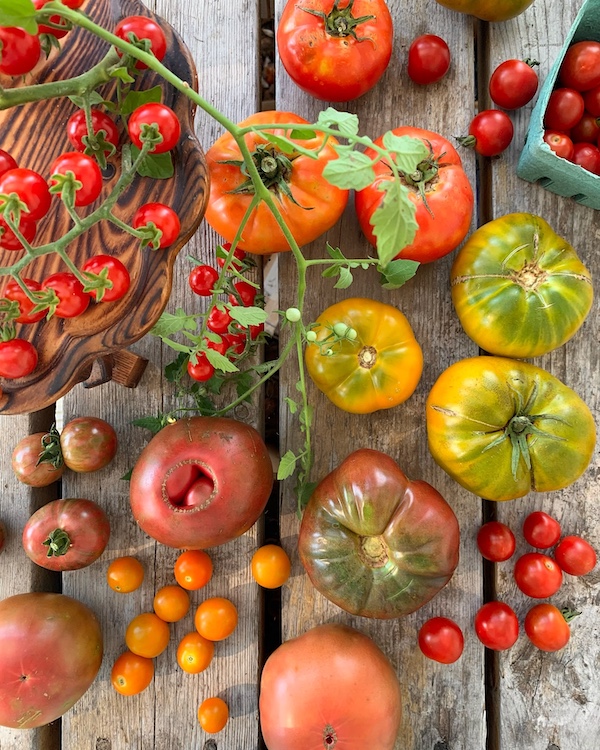 Hudson Farmers Market 1