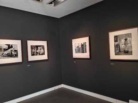 Atelier anthotype 3