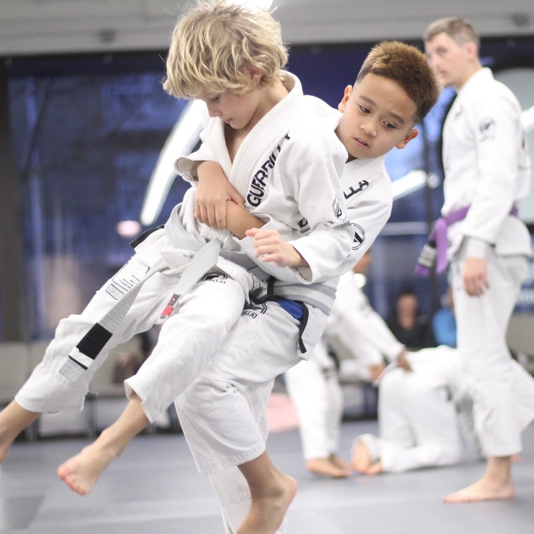 Guerrilla Jiu-Jitsu Martial Arts Academy 1