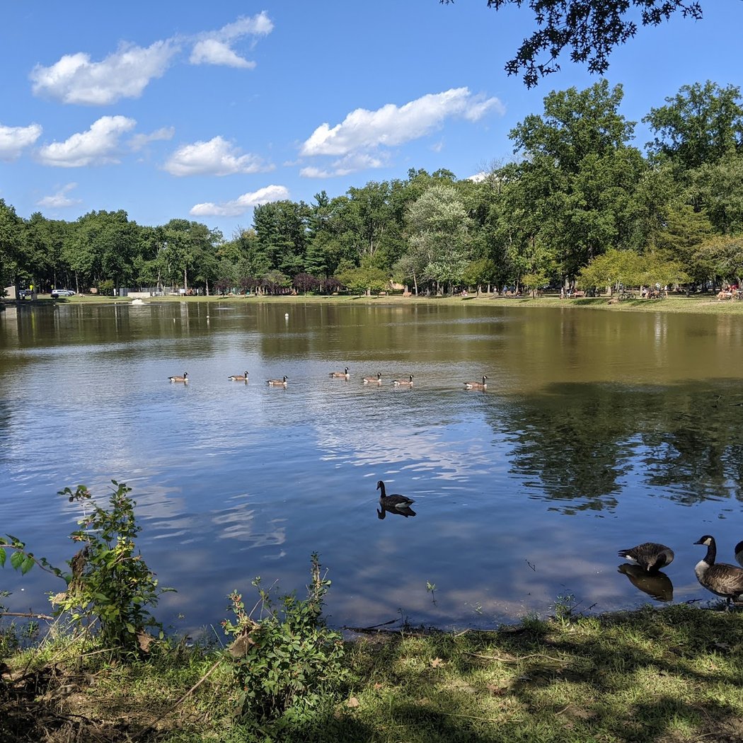 Ridgewood Dog Park 3